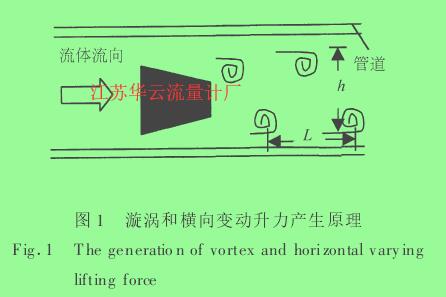 圖 1 　漩渦和橫向變動(dòng)升力產(chǎn)生原理