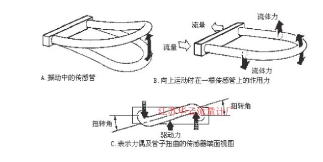 圖2 科氏質(zhì)量流量計(jì)測量管振動(dòng)示意圖Fig.2 Schematic diagram of measuring tube vibration of coriolis mass flowmeter